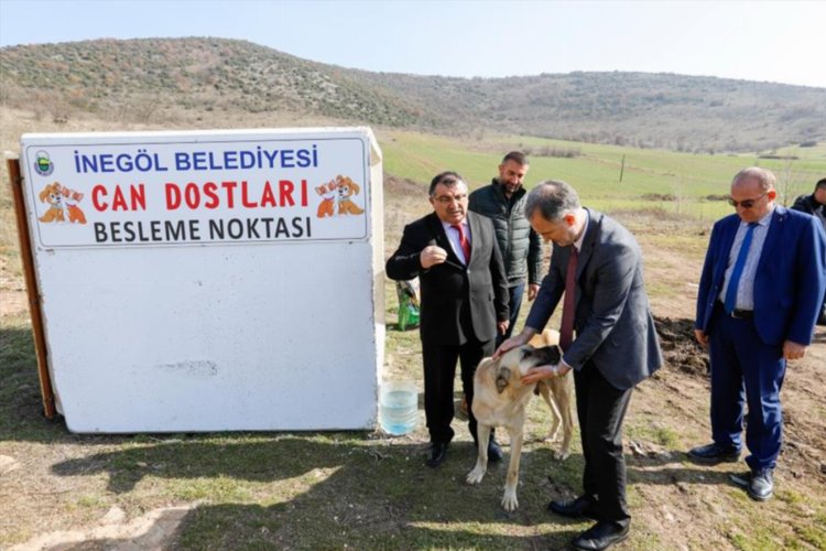 Bursa İnegöl'de can dostları için yeni beslenme noktaları -