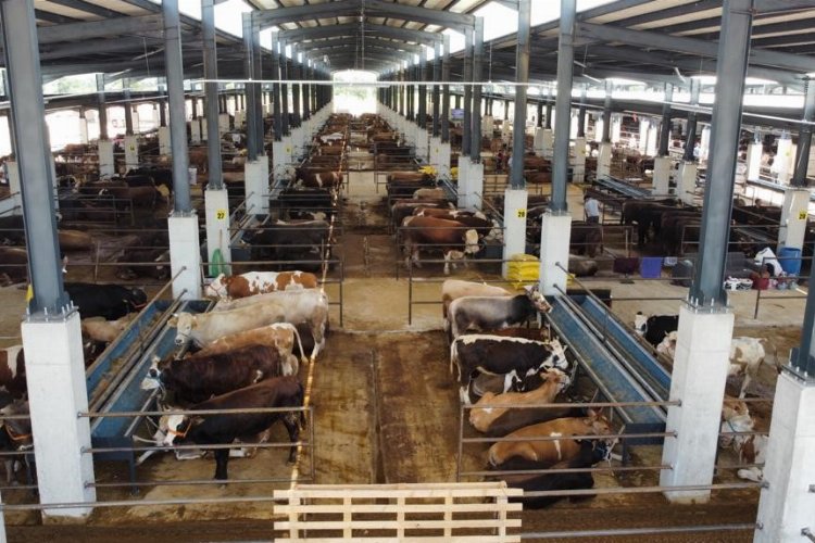 Bursa İnegöl Hayvan Pazarı kotra ihale tarihi belli oldu -
