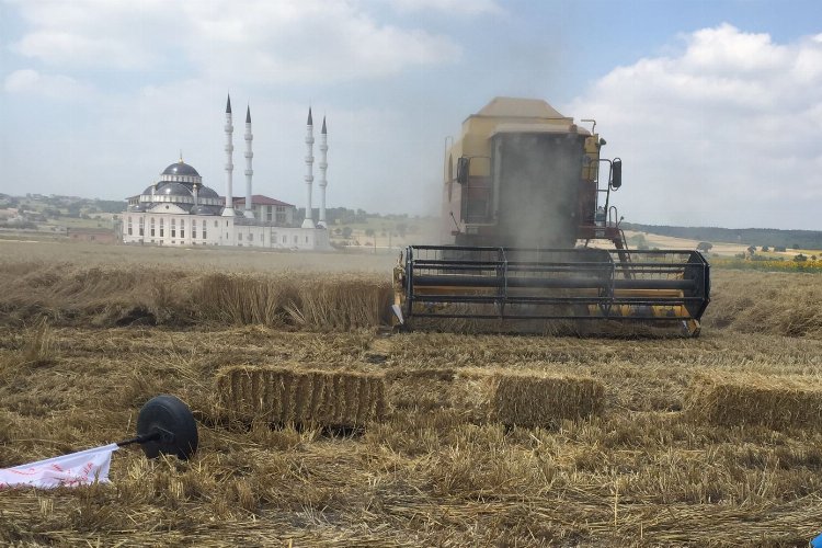 Bursa Nilüfer'de buğday tarla günü düzenlendi -