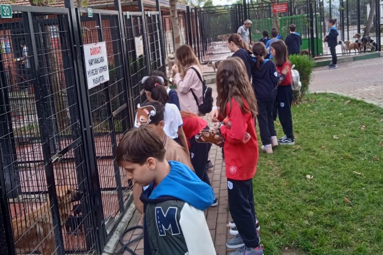 Bursa Osmangazi'de çocuklara hayvan sevgisi aşılanıyor -