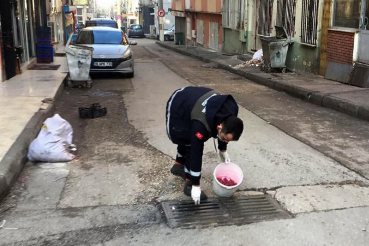 Bursa Osmangazi'de haşerelere karşı ilaçlama -