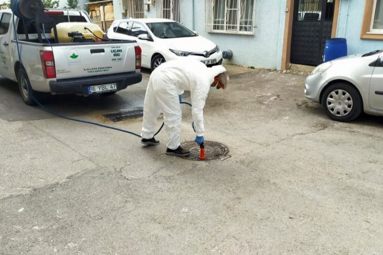 Bursa Osmangazi’de ilaçlama çalışmalarına devam -