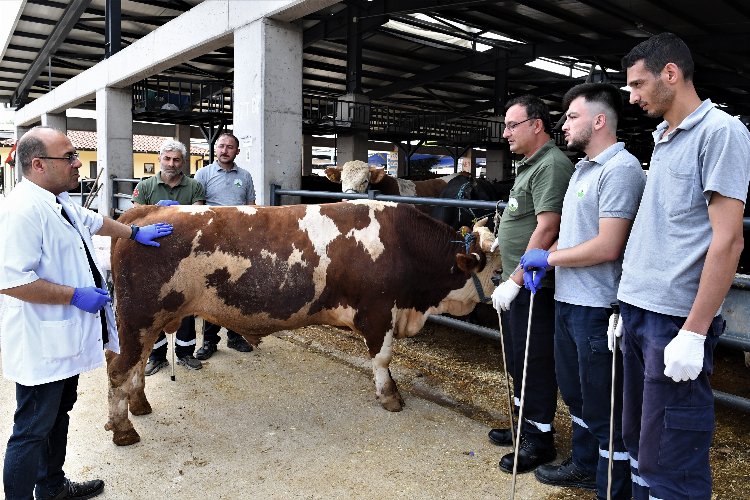 Bursa Osmangazi'de kaçan kurbanlıklar onlara emanet -