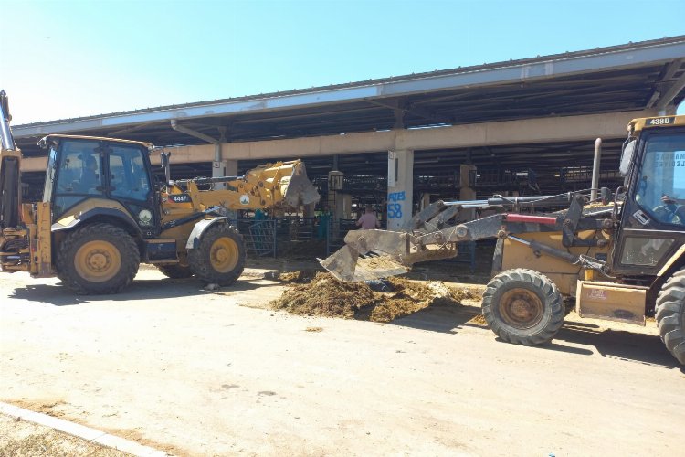 Bursa Osmangazi'de kurban satış yerleri kaldırıldı -