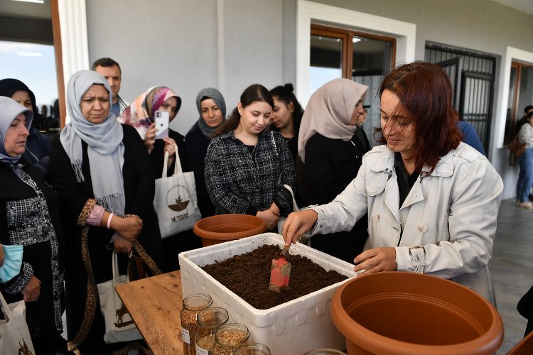 Bursa Osmangazi’de sebzeler balkonlarda yeşerecek -