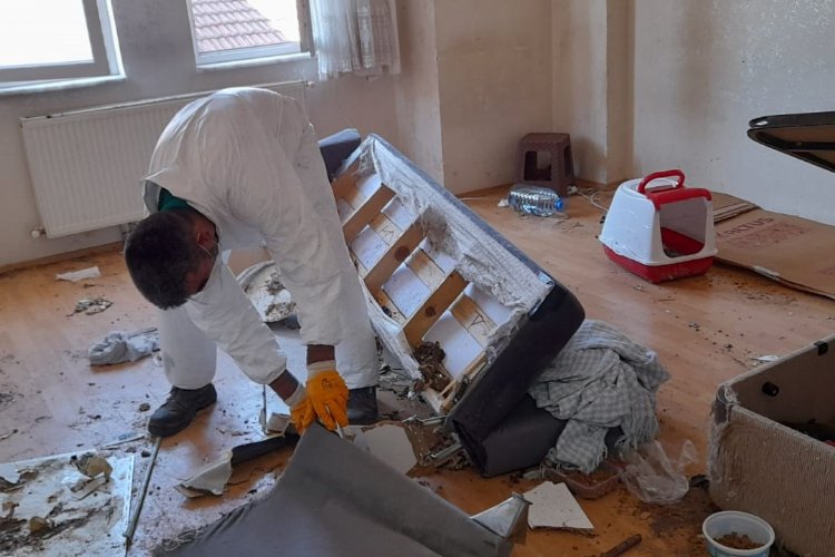 Bursa Osmangazi'deki çöp evden onlarca kedi çıktı -