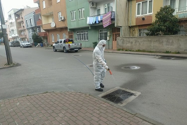 Bursa Osmangazi’den haşerelere karşı başarılı mücadele -