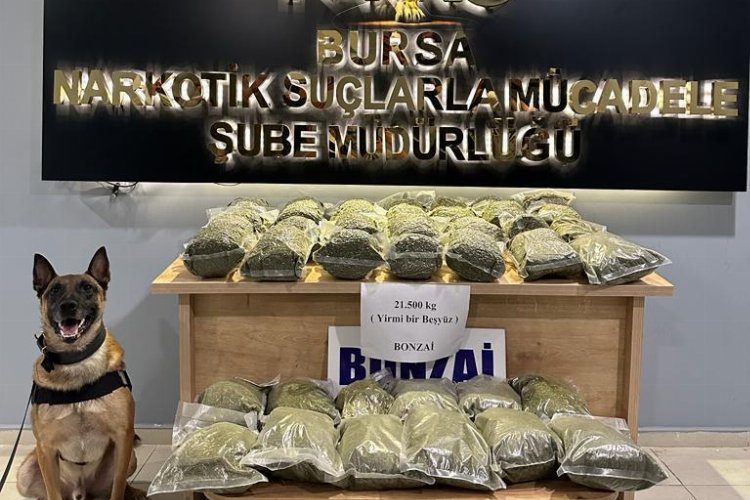 Bursa polisinden uyuşturucu ile mücadelede 188 gözaltı! -