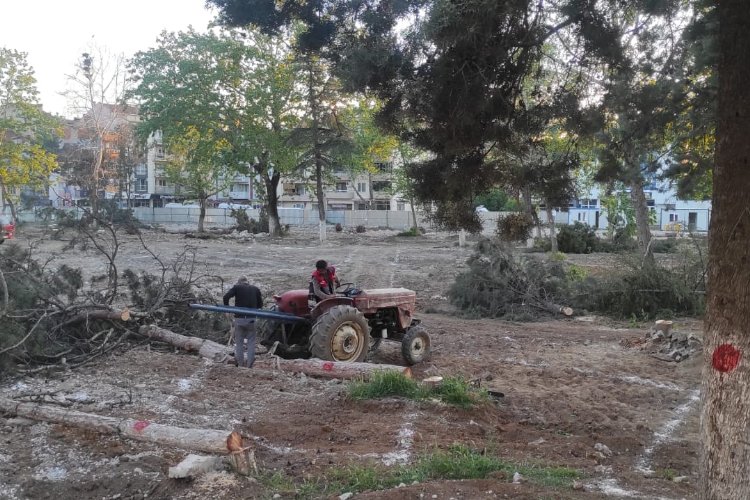 Bursa Yenişehir'de Millet Bahçesi'nde kontrollü katliam! -