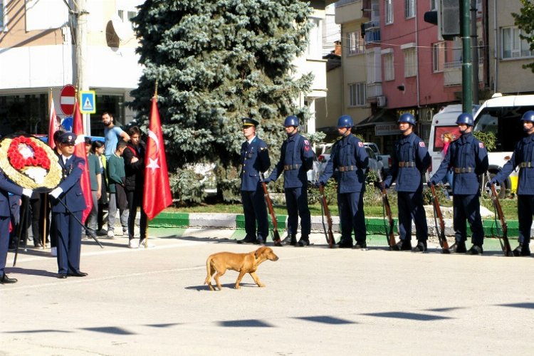 Bursa Yenişehir'de gülümseten anlar -