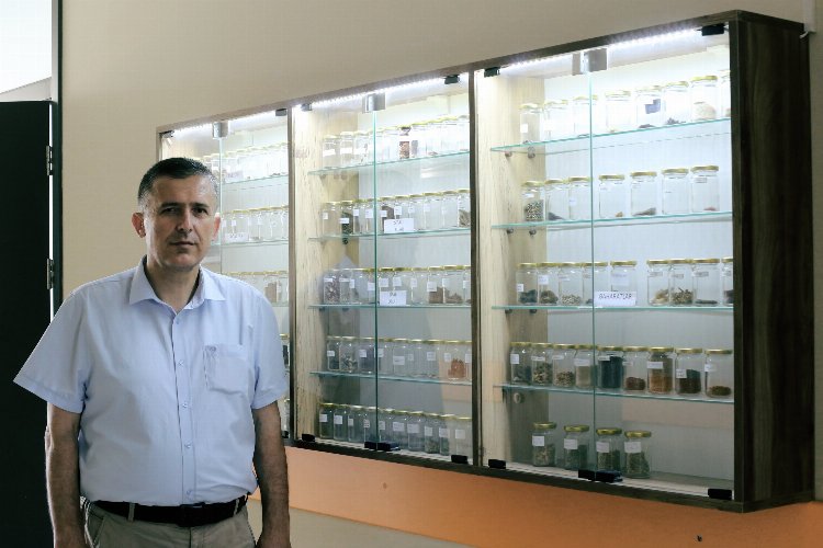 Bursa Yenişehir'de marka tescilli 'Tohum Müzesi' -