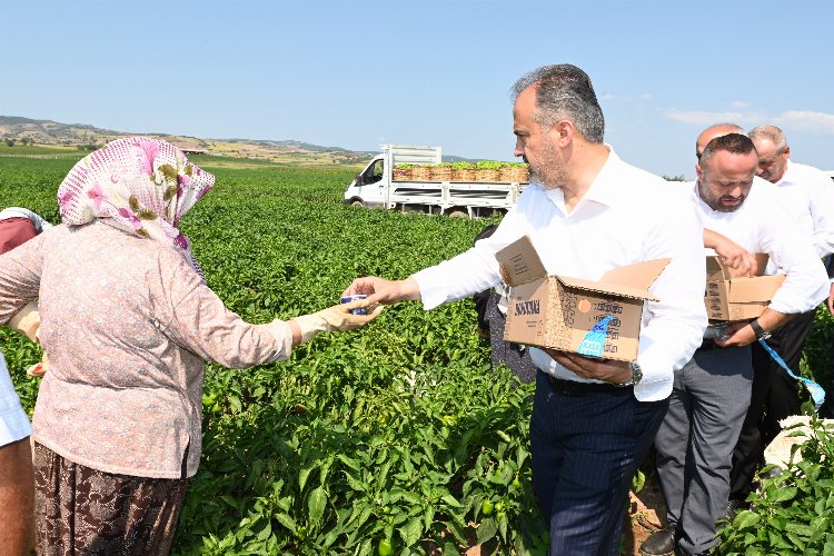 Bursa Yenişehir'de tarlada serinleten ziyaret -