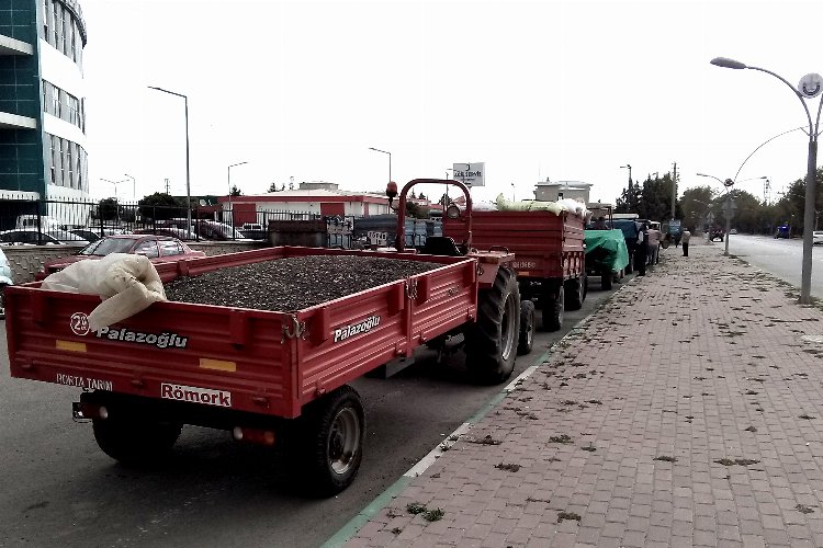 Bursa Yenişehir'de 'yağlı ayçekirdeği' için kuyruklar oluştu -