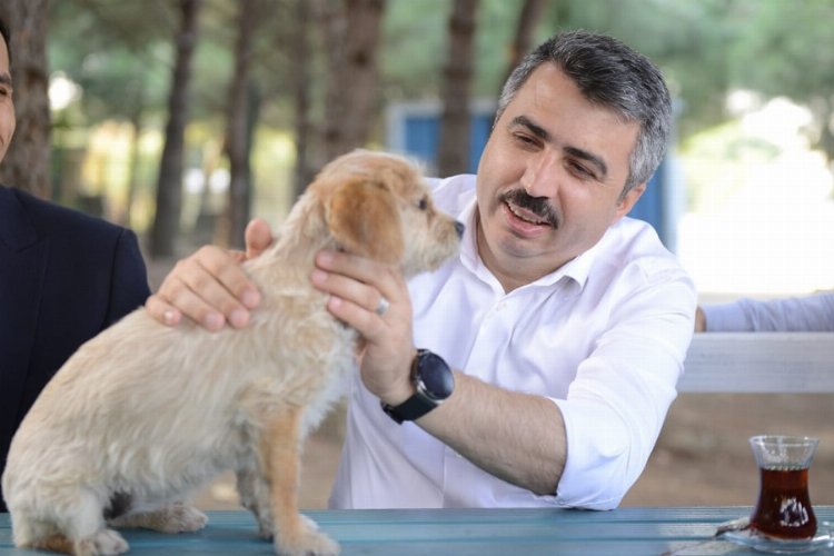 Bursa Yıldırım'da can dostlara şefkat eli -