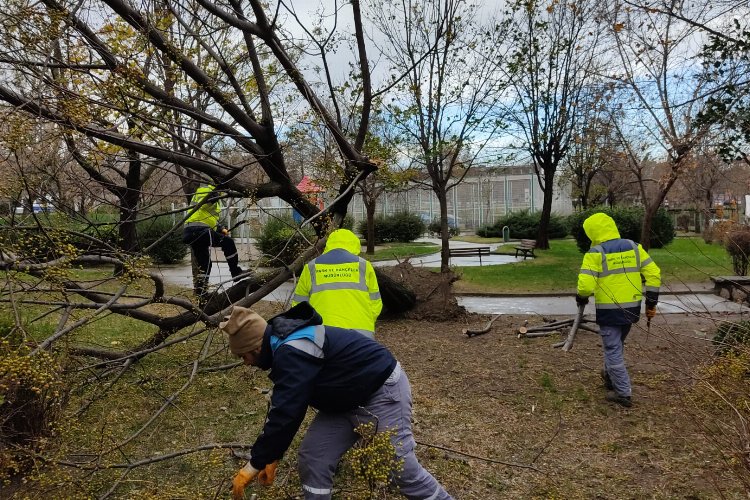 Bursa Yıldırım'da lodosla etkin mücadele -