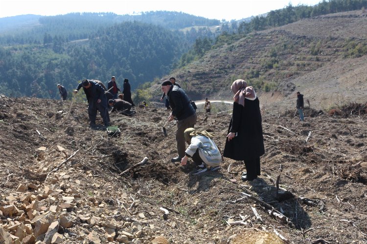 Bursa Yıldırım'da Saadet'ten Erbakan adına 'hatıra ormanı' -