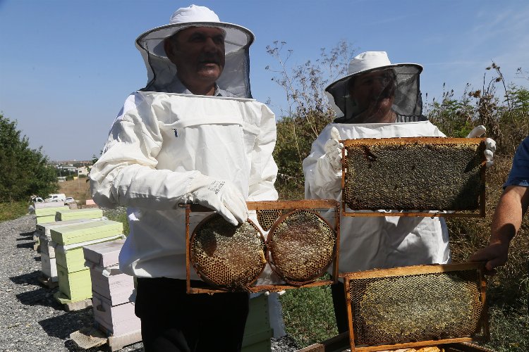 Büyükçekmece’de ilk bal hasadı gerçekleşti -