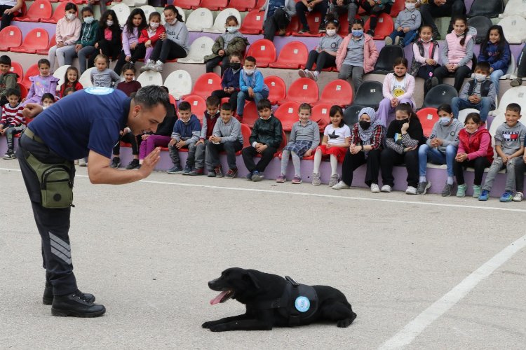 Can dost Asel, yeni yuvasında -