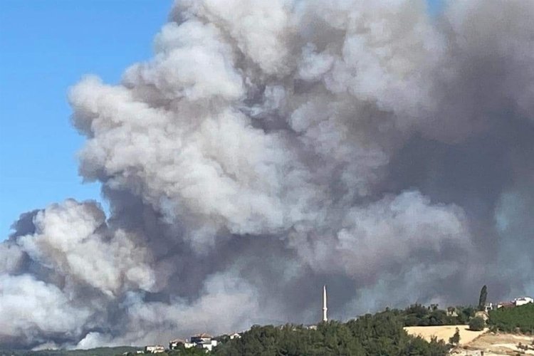 Çanakkale'de alevler yayılıyor -