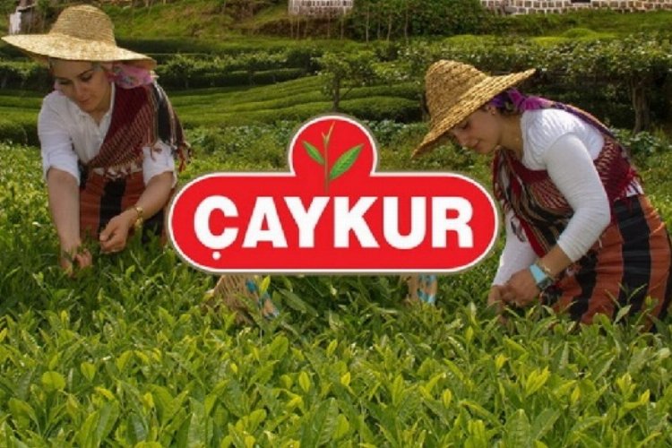 ÇAYKUR 3. sürgün alımına 1 Eylül’de başlıyor -