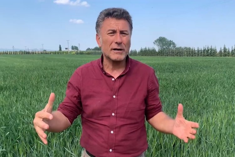 CHP'li Sarıbal: Hububat için üretimde tutacak alım fiyatı açıklanmalı -