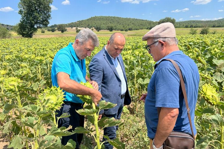 CHP'li Tekirdağ Milletvekili Aygun, Tarım Bakanı'na Bursa Ovası'ndan seslendi -