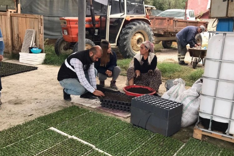 Çiftçi kadınlara sözleşmeli üreticilik modeli ile büyük kazanç -