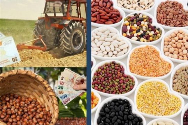 Çiftçilere nefes aldıran ödeme -