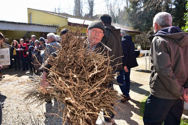 Çiftçiye erik ve hünnap desteği -
