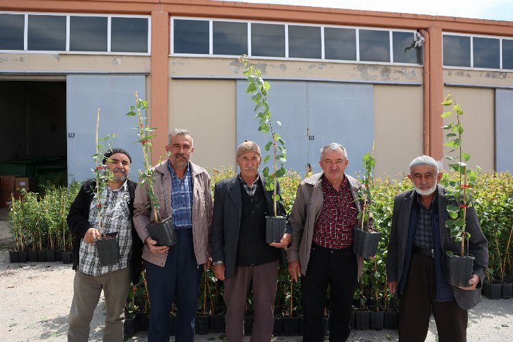 Çiftçiye ürün desteği -