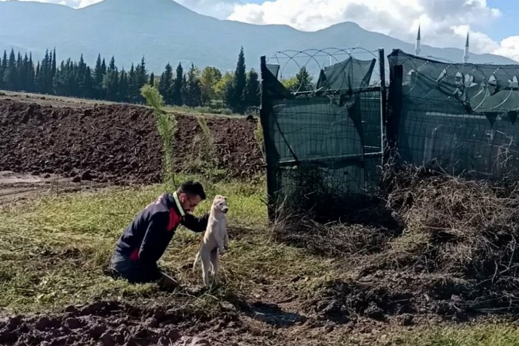 Çukura düşen yavru köpeği A Takımı kurtardı -