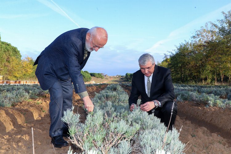 Cumhurbaşkanı Başdanışmanı Kasırga Sakarya'da -