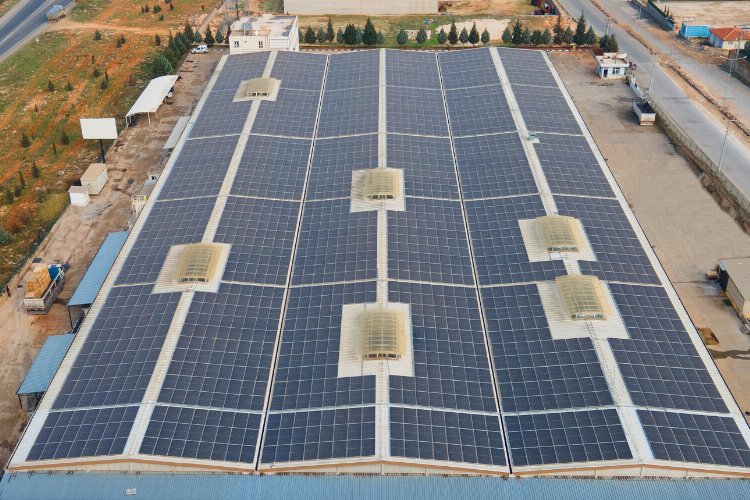 CW Enerji yeni kurduğu panellerle 166 ağacı daha kurtaracak -