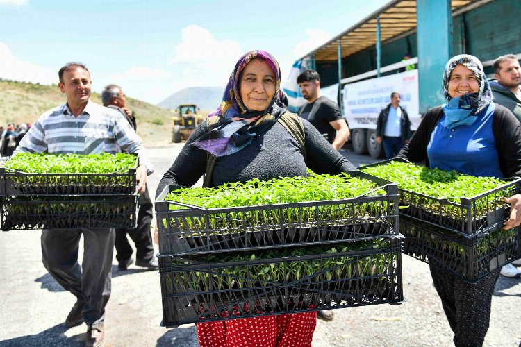 Depremzede çiftçilere 2 milyon fide hibe -