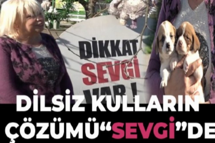 Dilsiz kulların çözümü “Sevgi”de -