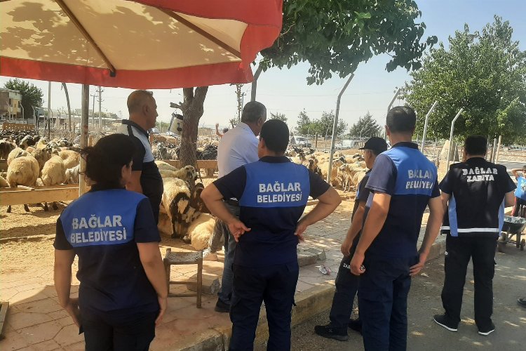 Diyarbakır Bağlar'da kaçak hayvan pazarına yıkım! -