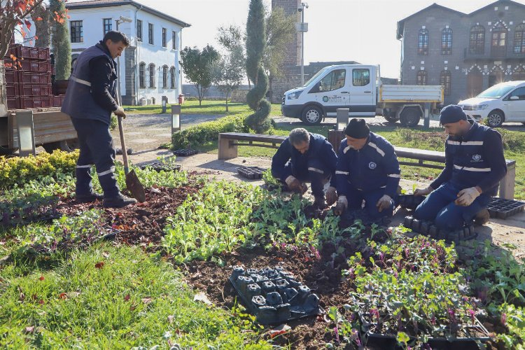 Diyarbakır 'çiçek' gibi oldu -