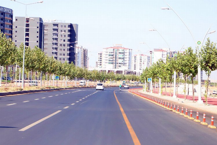 Diyarbakır'da ağaçlarla estetik görünüm -