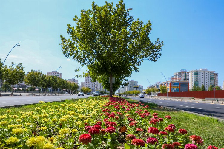 Diyarbakır'da Fırat Bulvarı çiçeklendi -
