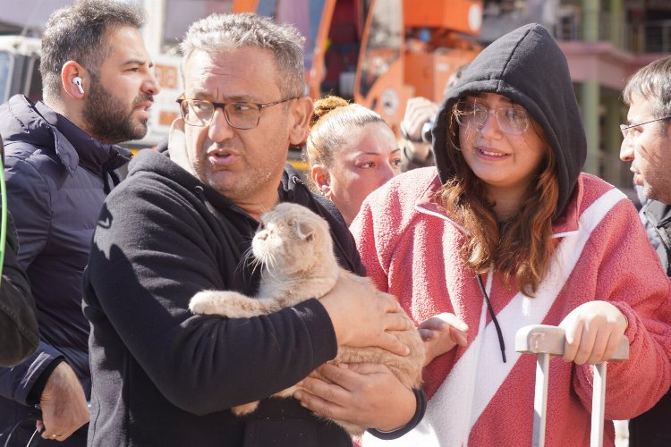 Diyarbakır'da son kedi de kurtarıldı! -
