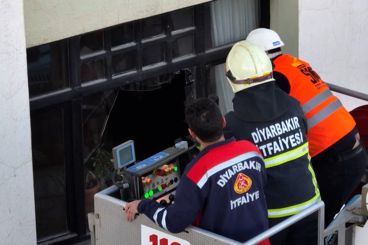 Diyarbakır'da yıkım durduruldu, kediler kurtarıldı! -