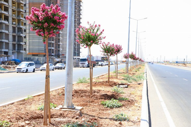 Diyarbakır’ın caddeleri 'Oya' gibi işlendi -