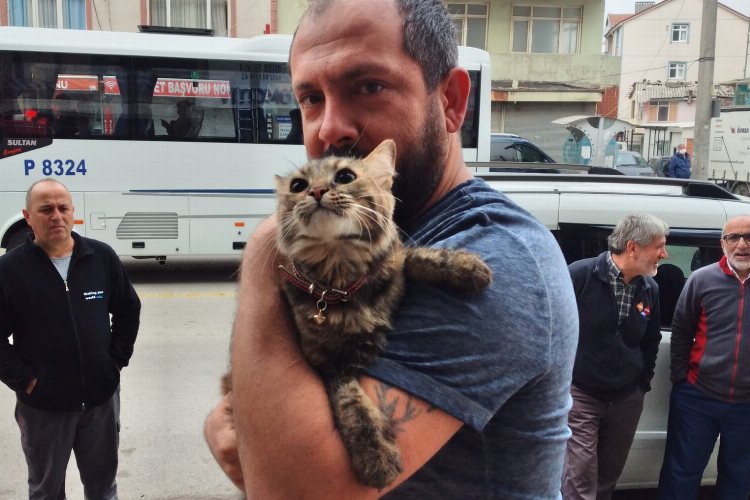 Duvara sıkışan kediyi Kocaeli Büyükşehir İtfaiyesi kurtardı -