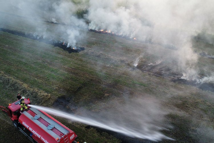 Düzce'de çıkan anız yangını korkuttu -