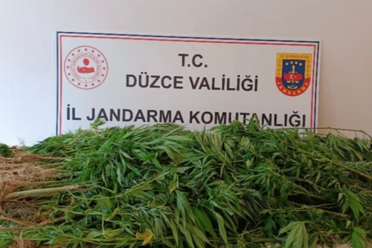 Düzce'de jandarmadan uyuşturucu operasyonu -