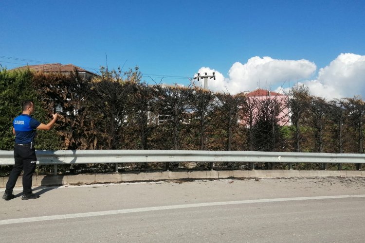 Düzce’de Kervan Kavşağı'nda ağaçları yaktılar -