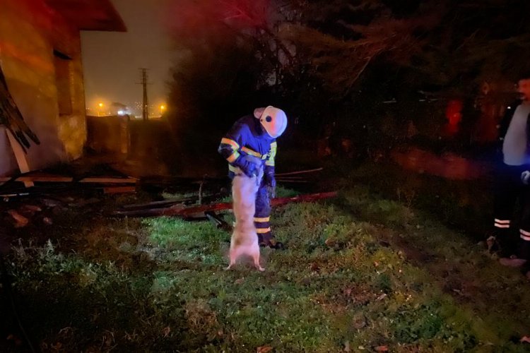 Düzce'de metruk binadaki yangında mahsur kalan köpek kurtarıldı -