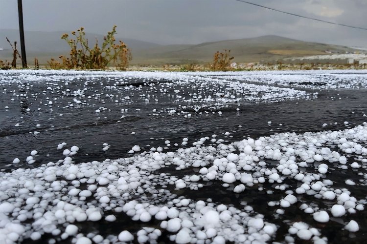 Edirne'de 16 bin dekarda dolu zararı -