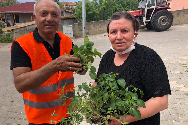 Edirne'de Süloğlu Belediyesi 5 bin sebze fidesi dağıttı -