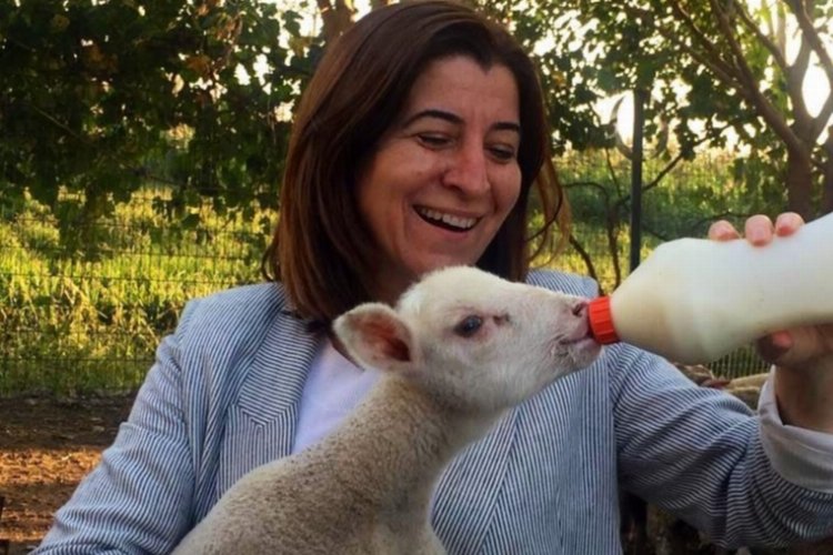 Edirne Milletvekili Aksal 'köy' projesini değerlendirdi -